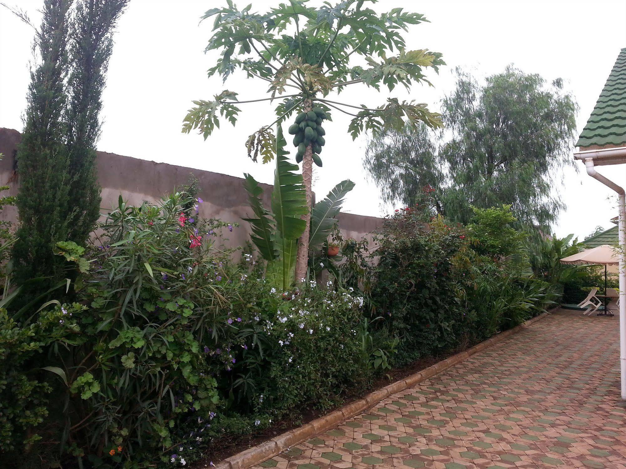 ארושה Korona House Hotel מראה חיצוני תמונה